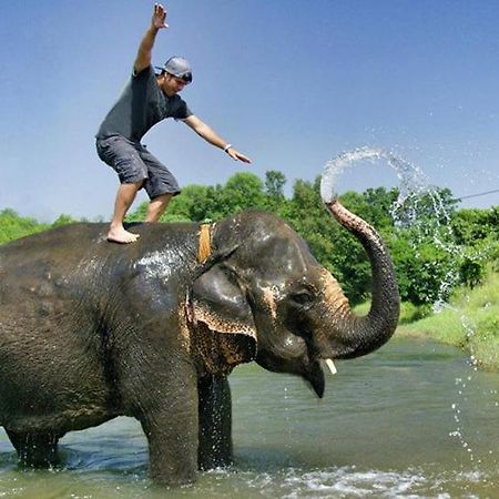 Hotel Royal Safari Chitwan Eksteriør bilde